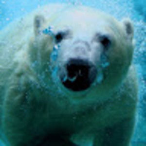 Meet your Posher, Eddie